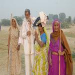 Vraj-Yatra-2014- (431)